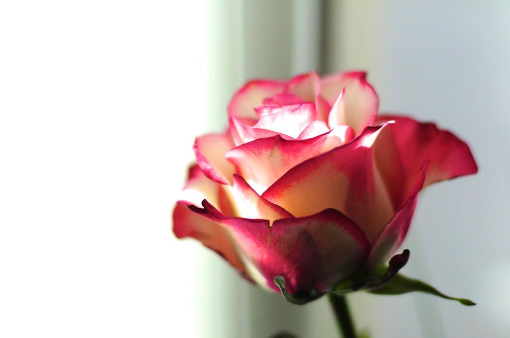 Val Des Roses 3*
